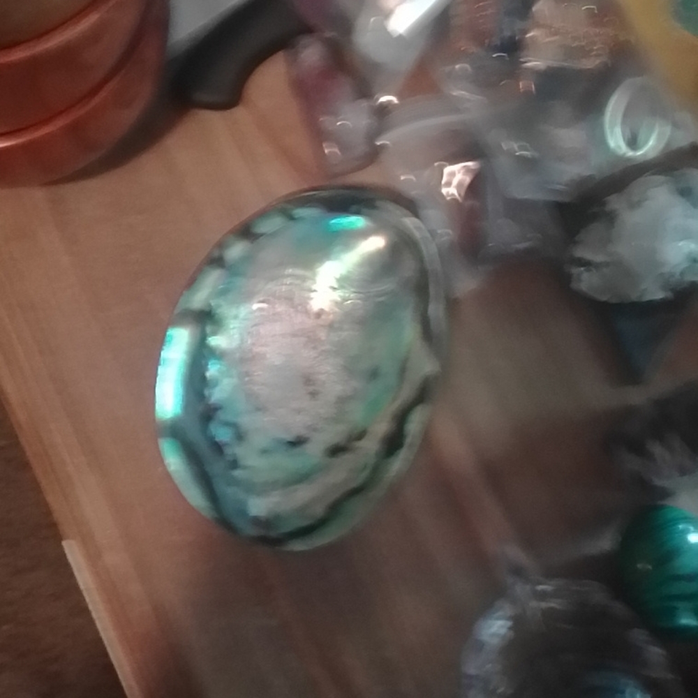 Opalized Abalone shell - Picture 4 of 5